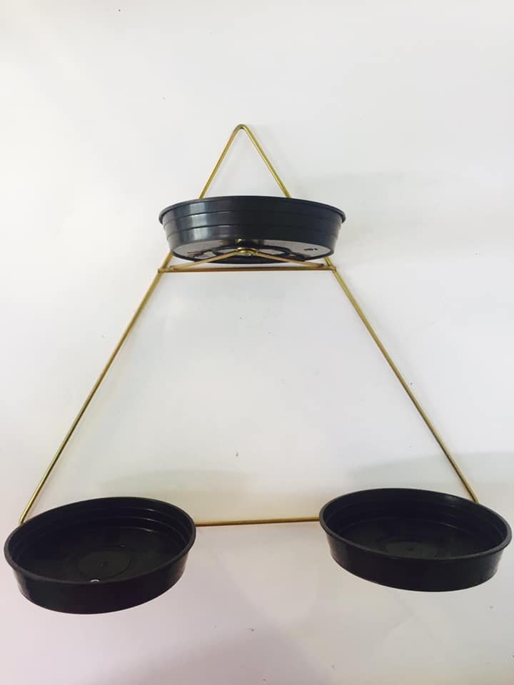 VIOLETEIRO TRIÂNGULO