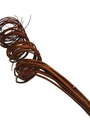 10-galhos-de-vime-rococo-torcido-para-decoracao-g-flores-secas