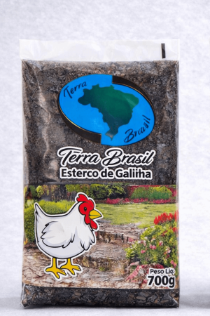 ChatGPT FOTO DE CAPA