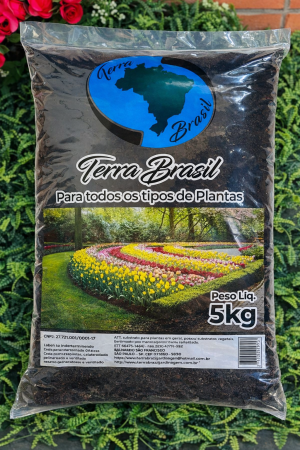 ChatGPT Image 25 de fev. de 2026, 14_28_06