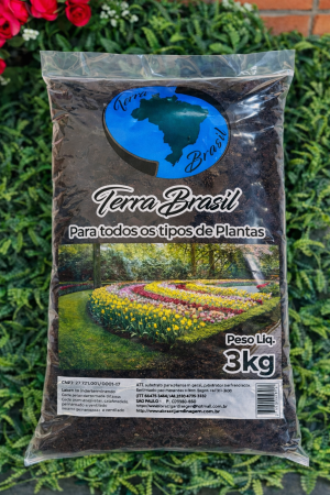 ChatGPT Image 25 de fev. de 2026, 14_38_13