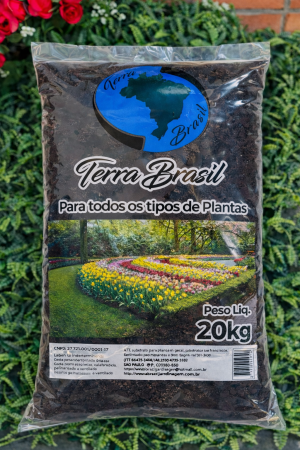 ChatGPT Image 25 de fev. de 2026, 14_45_29