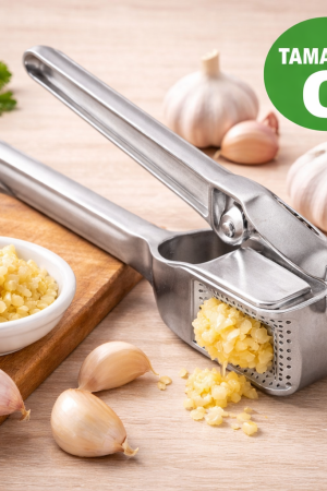 ChatGPT Image 26 de fev. de 2026, 10_44_53