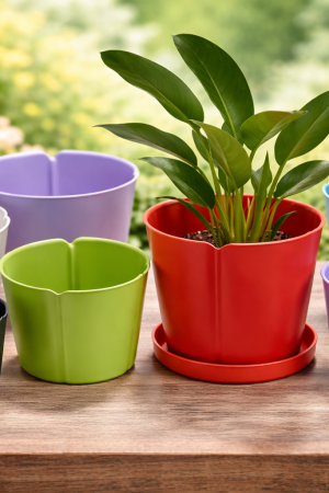 ChatGPT Image 27 de fev. de 2026, 17_07_25