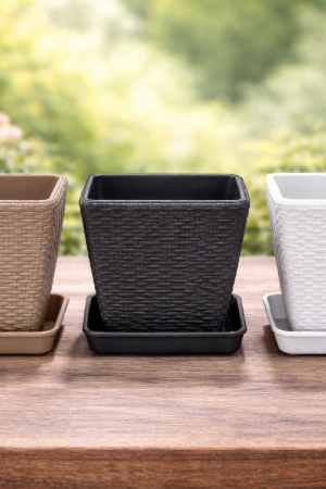 ChatGPT Image 27 de fev. de 2026, 17_43_15