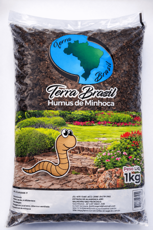 ChatGPT Image 6 de fev. de 2026, 16_55_09