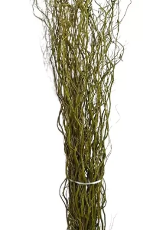 D_NQ_NP_2X_937490-MLB74485922940_022024-F-10haste-galhos-seco-vime-arranjo-desidratado-decoraco-torto_347x