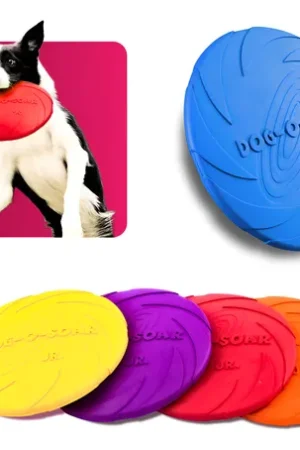 D_NQ_NP_761937-MLB98656058049_112025-O-frisbee-brinquedo-disco-de-borracha-cachorro-ces-pets