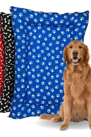 D_NQ_NP_796563-MLB96413039182_102025-O