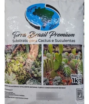 D_NQ_NP_887913-MLA50936955068_072022-O