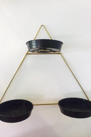 VIOLETEIRO TRIANGULO