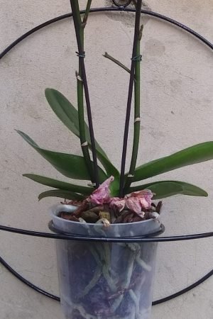 WhatsApp Image 2023-03-16 at 09.15.31 (1)