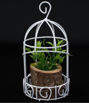 WhatsApp Image 2023-03-16 at 09.15.32 (2)