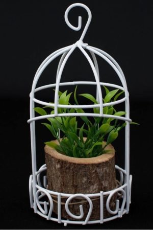 WhatsApp Image 2023-03-16 at 09.15.32 (2)