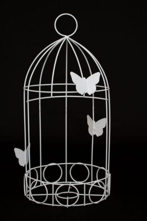 WhatsApp Image 2023-03-16 at 09.15.32 (3)