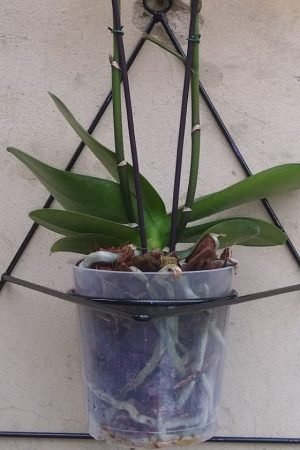 WhatsApp Image 2023-03-16 at 09.15.33