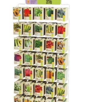 WhatsApp Image 2025-09-24 at 10.40.38