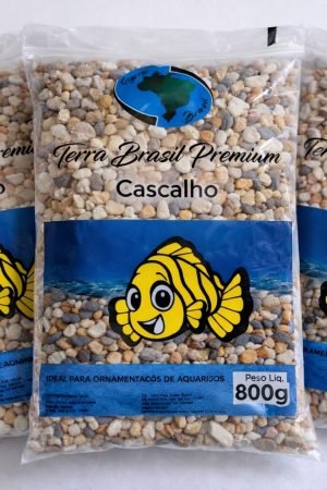 WhatsApp Image 2026-03-06 at 14.55.22 (1)