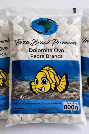 WhatsApp Image 2026-03-06 at 14.55.22 (2)