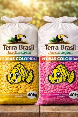 WhatsApp Image 2026-03-06 at 14.55.22