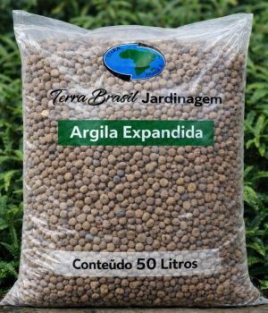 WhatsApp Image 2026-03-06 at 15.37.03