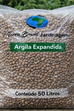 WhatsApp Image 2026-03-06 at 15.37.03