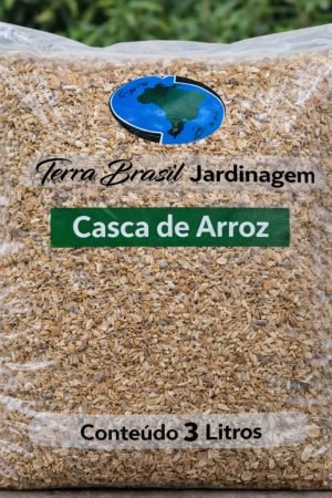 WhatsApp Image 2026-03-06 at 15.57.48 (1)