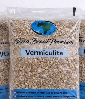 WhatsApp Image 2026-03-06 at 15.57.48 (3)