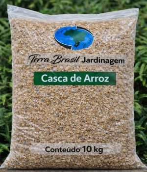 WhatsApp Image 2026-03-06 at 15.57.48