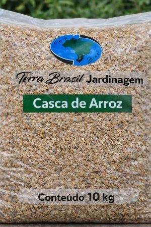 WhatsApp Image 2026-03-06 at 15.57.48