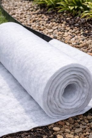 WhatsApp Image 2026-03-06 at 16.56.04 (1)