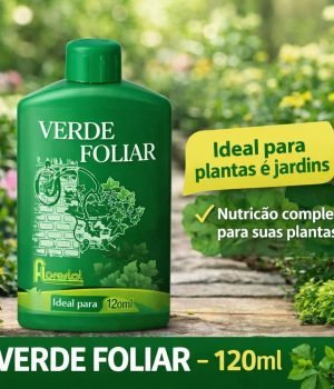 WhatsApp Image 2026-03-10 at 15.35.28