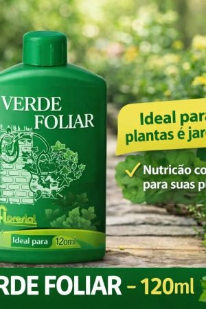 WhatsApp Image 2026-03-10 at 15.35.28